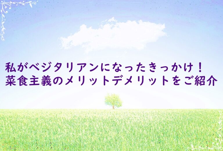 私がベジタリアンになったきっかけ！菜食主義のメリットデメリットをご紹介